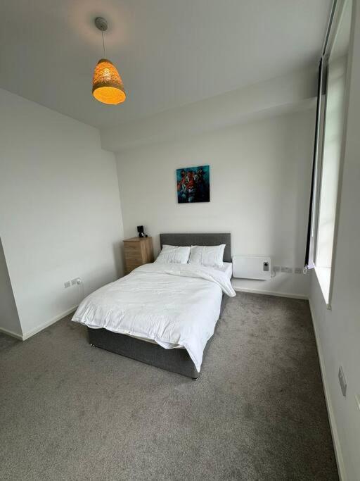 Spacious Flat In Sheffield City Center Gs304 Exterior foto